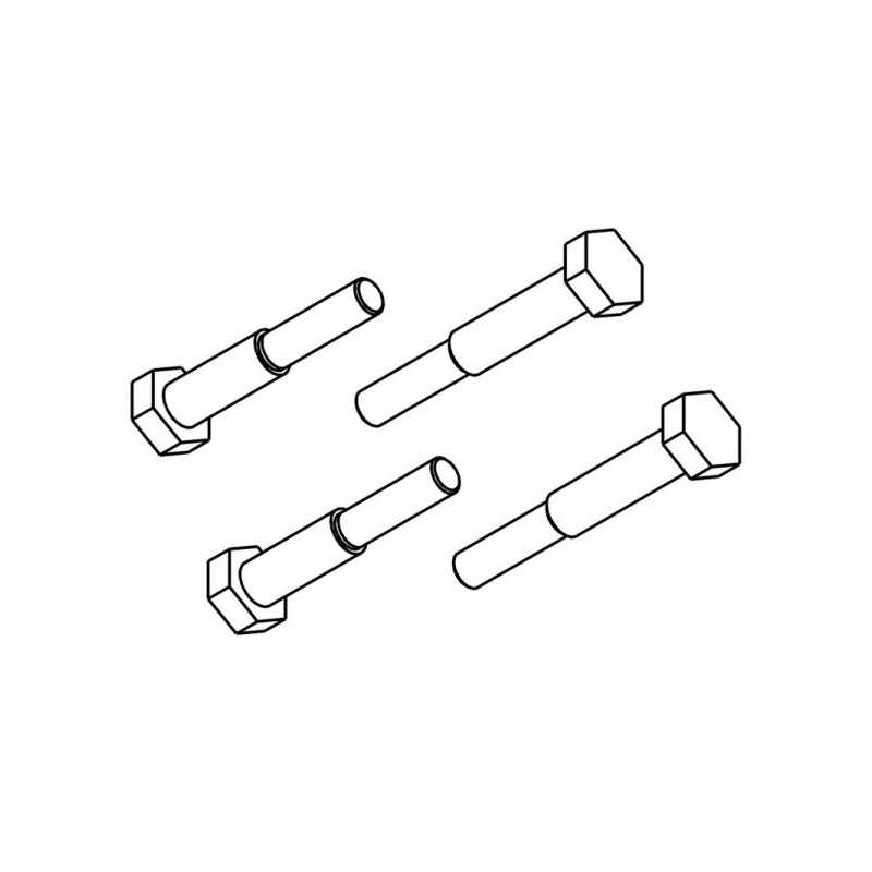 Brake Pad Carrier Screw Set