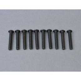 BH Hex Screw M5x30mm