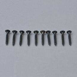 CS PZ2 Self Tap 4x25mm Screws