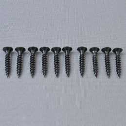 CS PZ2 Self Tap 5x30mm Screws