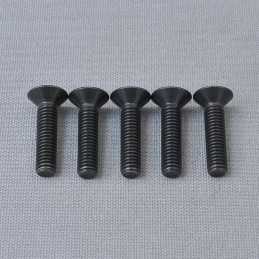 CS Hex Screw M6x25mm