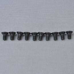 CS Hex Screw M5x10mm