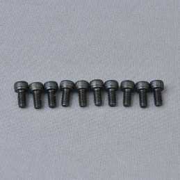 CH Hex Screw M4x8mm