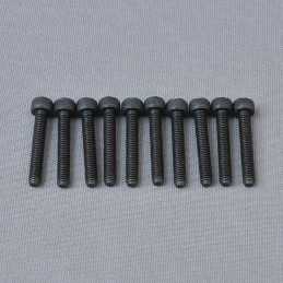 CH Hex Screw M4x25mm