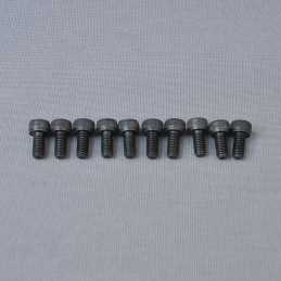 CH Hex Screw M5x10mm