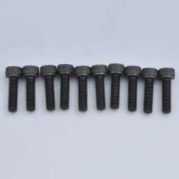 CH Hex Screw M6x20mm