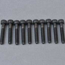 CH Hex Screw M5x30mm