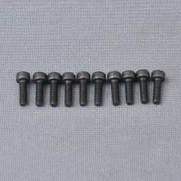 CH Hex Screw M3x10mm