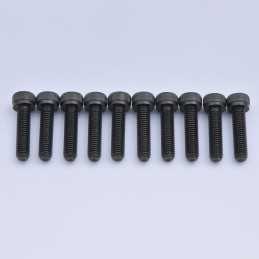 CH Hex Screw M5x20mm