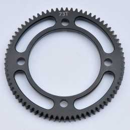 Differential Transmission Spur Gear Z73