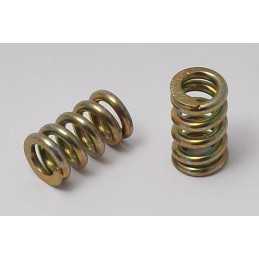 Diff Internal Gear Spring for LSD Z12