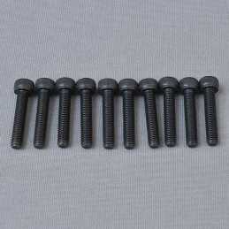 CH Hex Screw M5x25mm