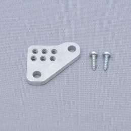 Brake Plate Special Nut