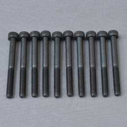 CH Hex Screw M5x50mm