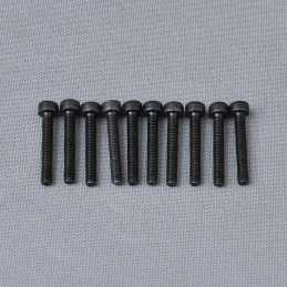 CH Hex Screw M3x20mm