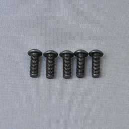 BH Hex Screw M6x20mm