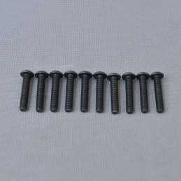 BH Hex Screw M5x25mm