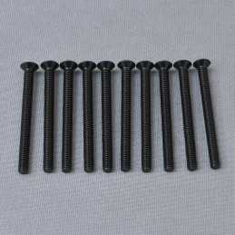 CS Cross Screw M4x45mm