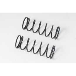 Front Medium Springs 07/2010 0.31kg