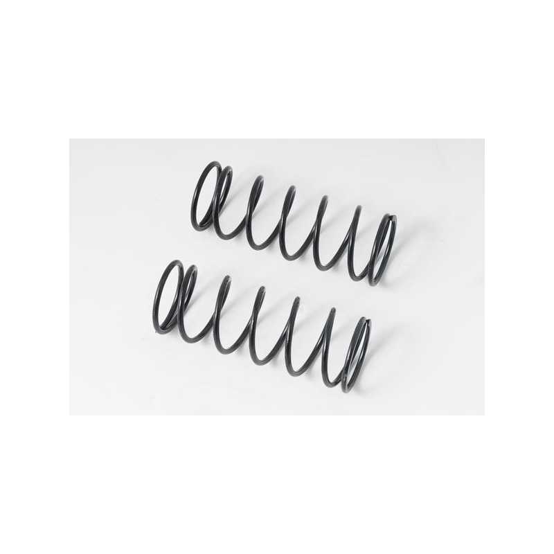 Front Medium Springs 07/2010 0.31kg